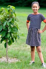 Two Stitches - Molly Dress Sewing Pattern - Image 2